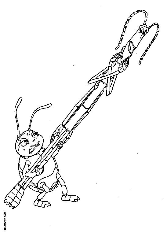 coloriage 1001 pattes coccinelle porte la branche